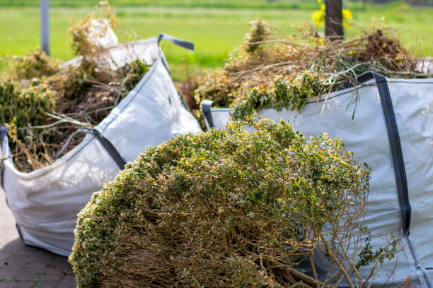 Best Yard Waste Removal  in Rigby, ID